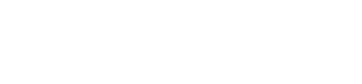 Logo-Namex-Orizzontale_white